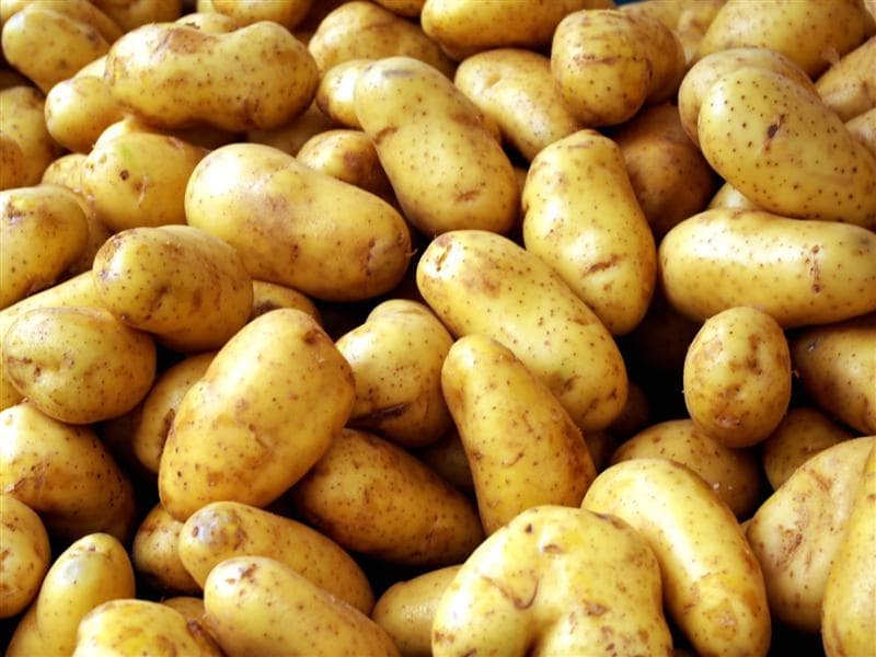 Fresh Ukrainian Potatoes